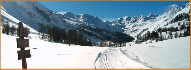 Ski de fond
