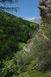 Photo du Pas du Roy