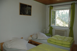 Chambre Lynx