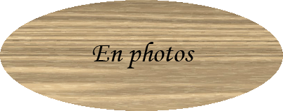 Quelques photos prises au Belv�d�re