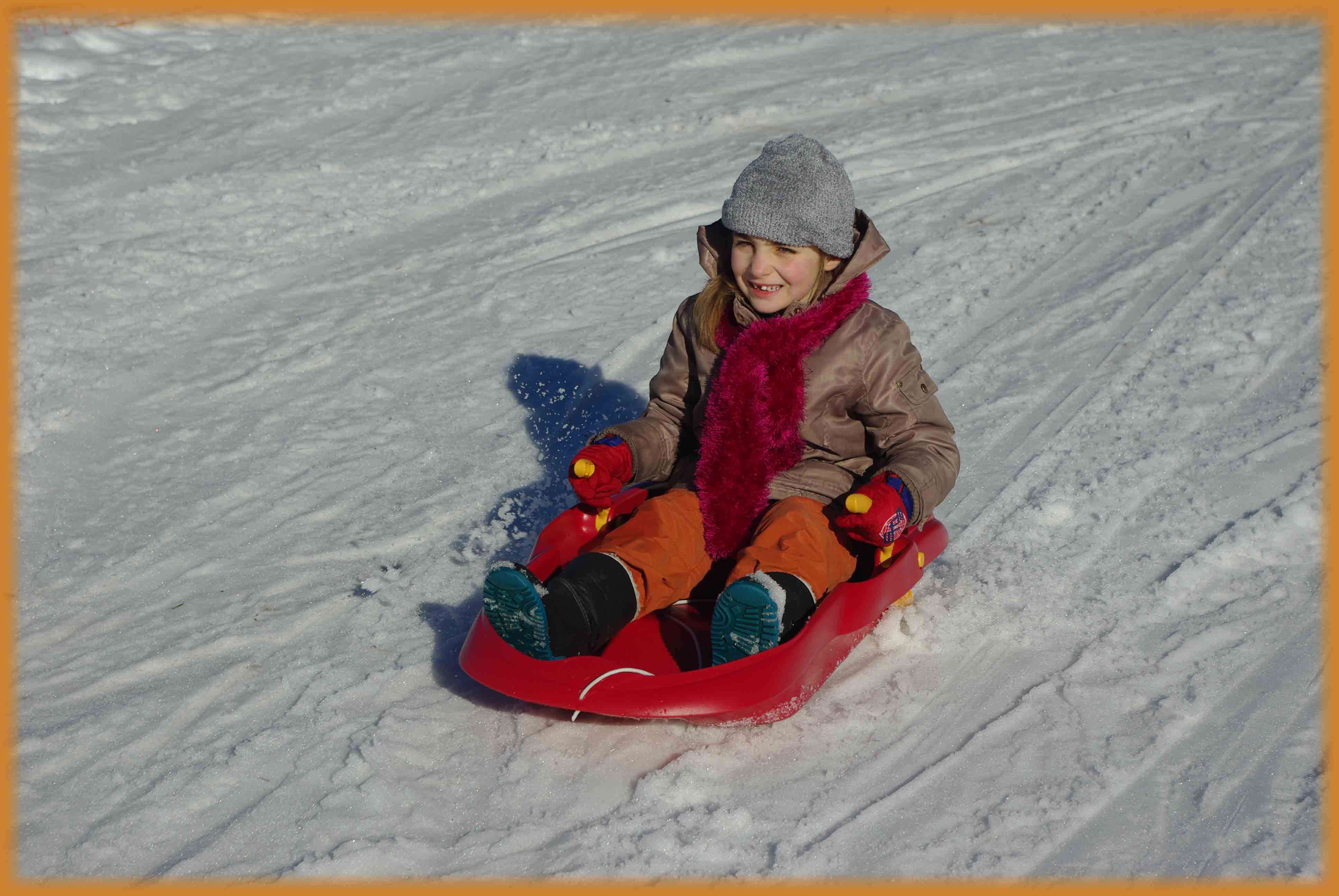 Luge