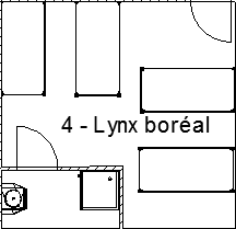 Lynx Bor�al