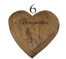 N�6, Bouquetin