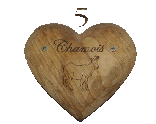 N�5, Chamois