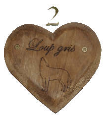 N�2, Loup gris