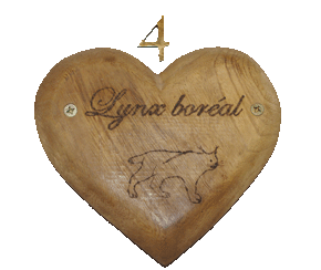N�4, Lynx Bor�al