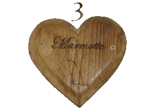 N�3, Marmotte